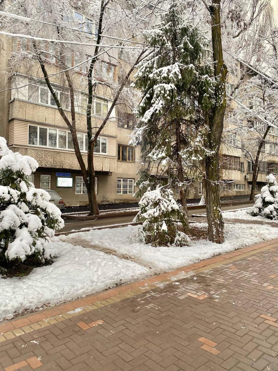 Alma-Ata Hostel Экстерьер фото