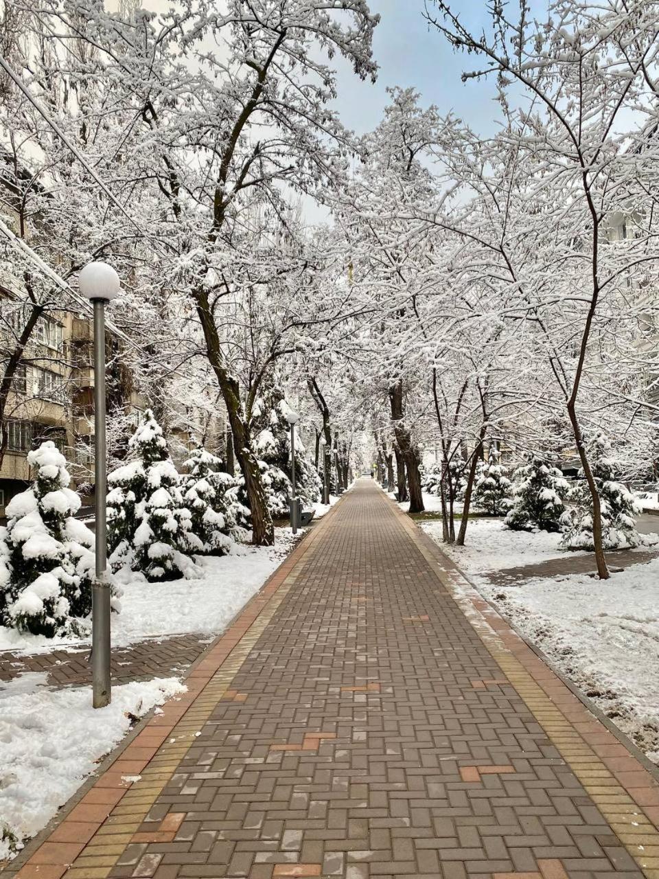 Alma-Ata Hostel Экстерьер фото